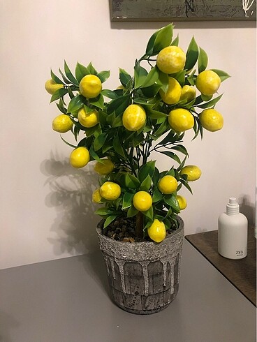 Dekoratif Yapay Limon Ağacı