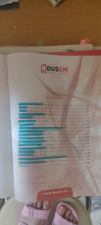 Beden Dusem Restoratif