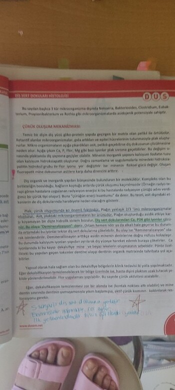 Beden Renk Dusem Restoratif
