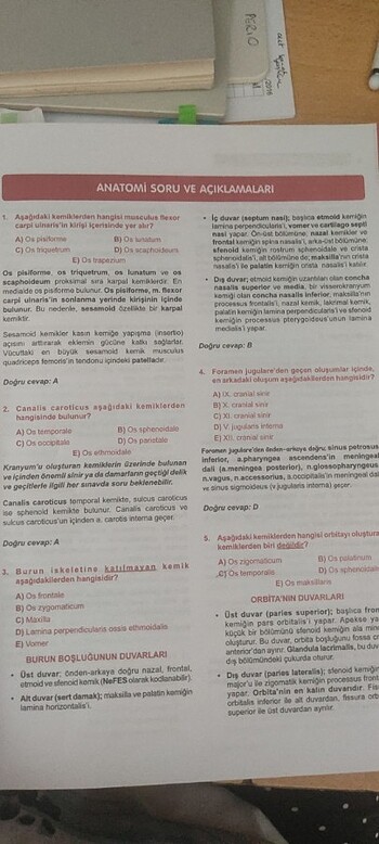 Beden Dusdata Tekrar Soruları