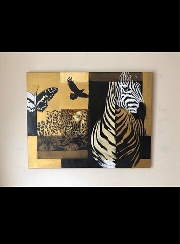 Zebra kaplan tablo