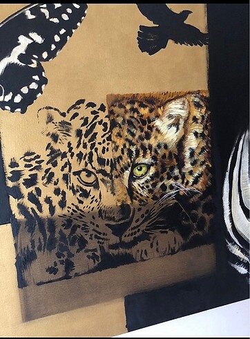 Beden Zebra kaplan tablo