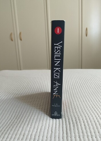 Beden Yeşilin Kızı Anne/ Anne With An E 1. Kitap