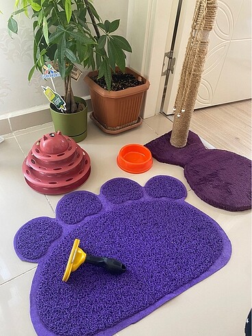5 parça kedi ürünü