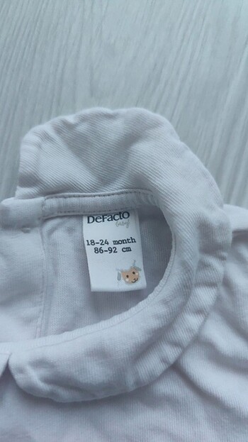 Defacto Badi