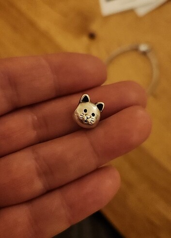 Pandora Charm