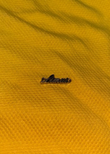 Erkek Sarı Kısa Kollu Polo Tişört - Görsel 3