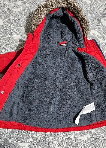 Kalın kaban - Görsel 3