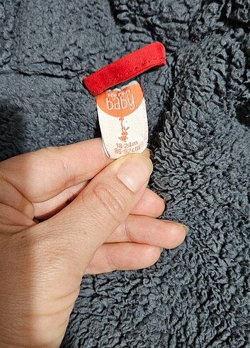 Kalın kaban - Görsel 5