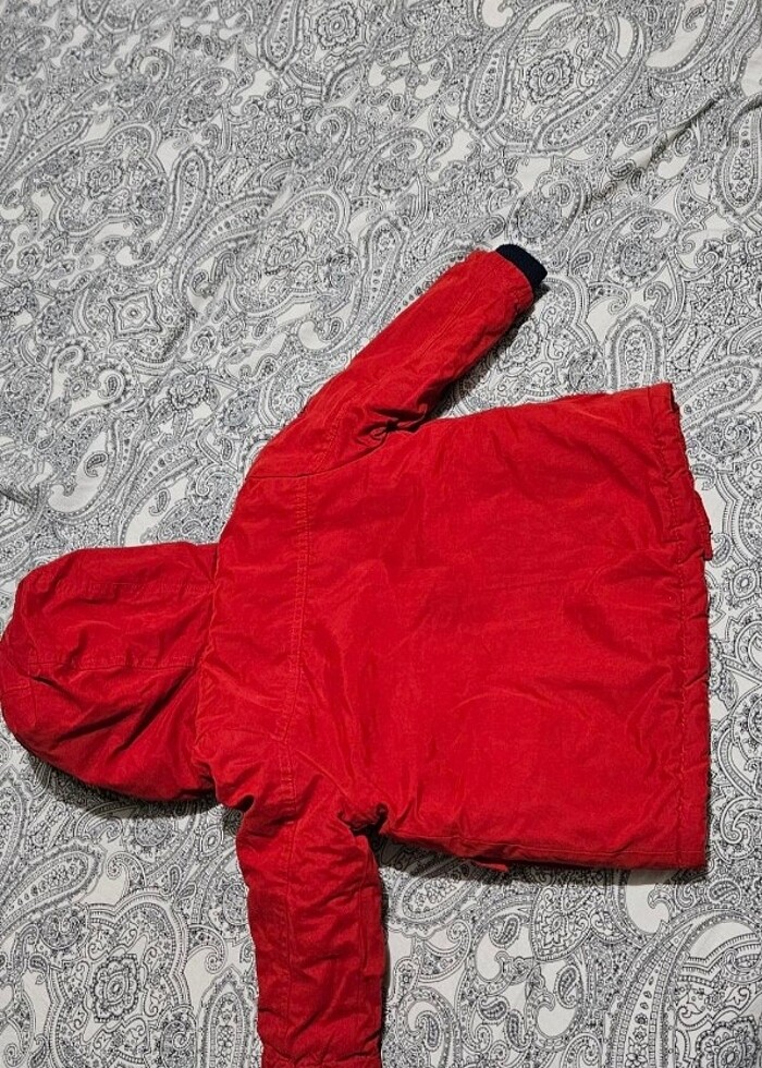 Kalın kaban - Görsel 2