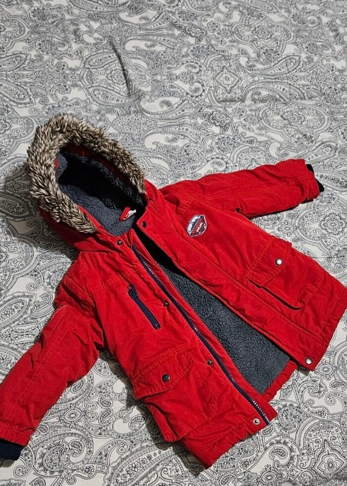 Kalın kaban - Görsel 4