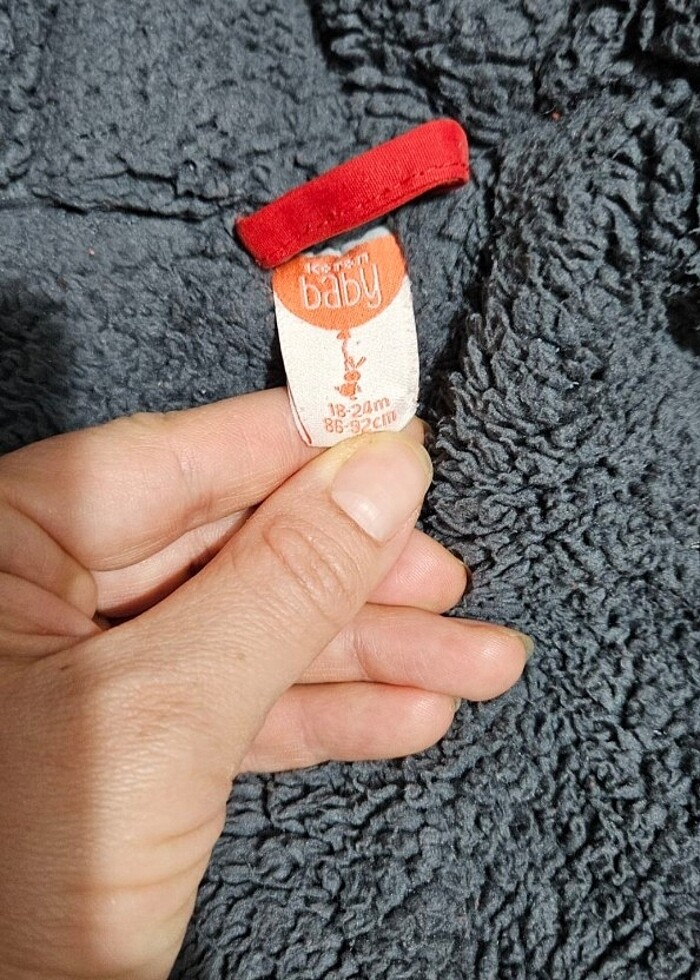 Kalın kaban - Görsel 5