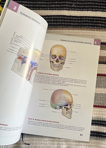Anatomi Atlası - Görsel 4