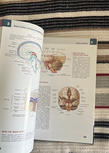Anatomi Atlası - Görsel 2