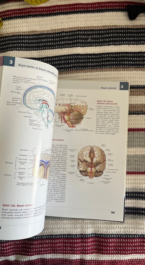 Anatomi Atlası - Görsel 2