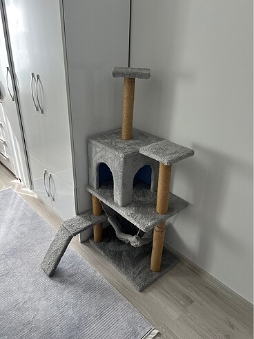 Kedi Evi