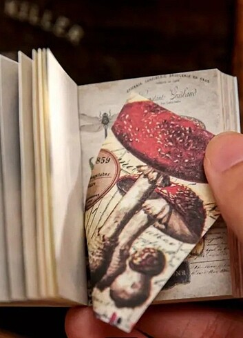  Scrapbook defter. 