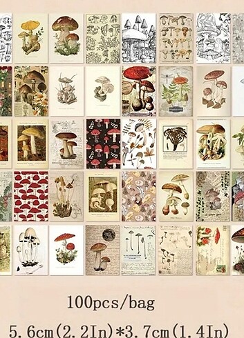  Beden Scrapbook defter. 
