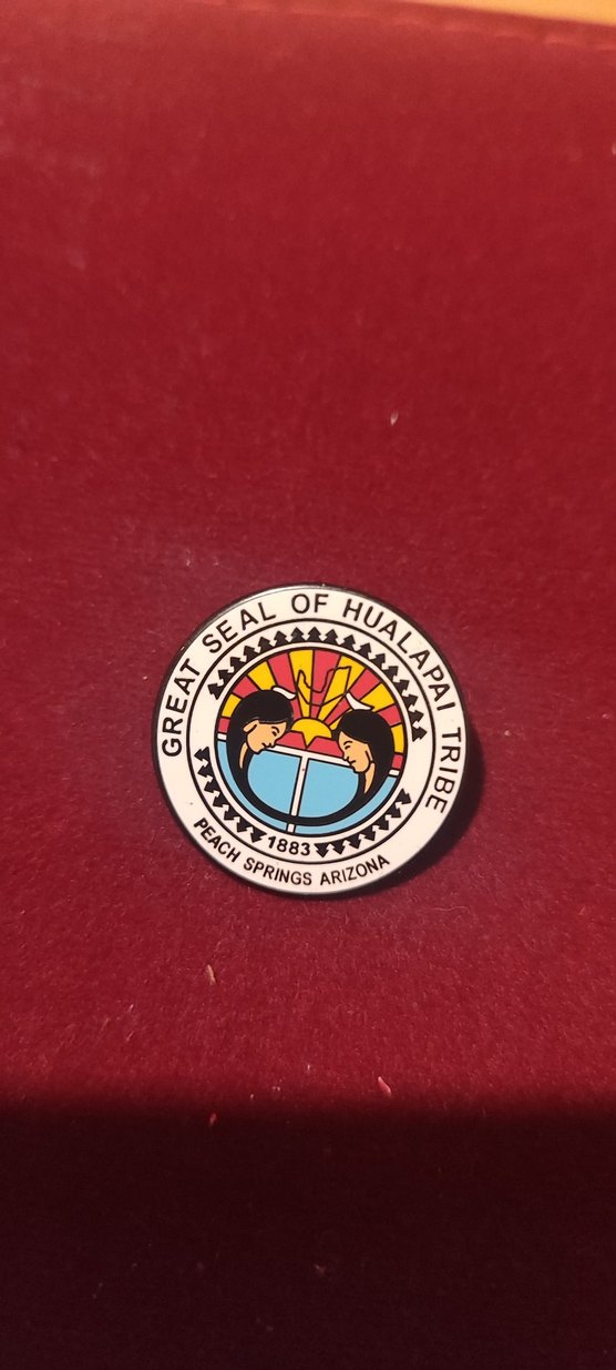 Vintage Renkli Hualapai Kabilesi Rozeti - Görsel 2