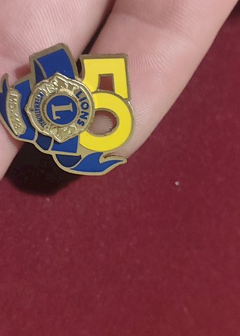 Altın Renkli Vintage Erkek Rozeti - Görsel 4