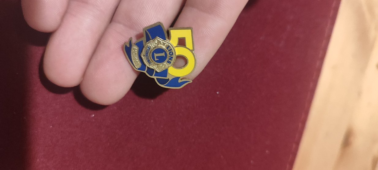 Altın Renkli Vintage Erkek Rozeti - Görsel 4