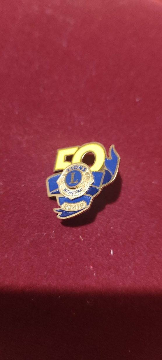 Altın Renkli Vintage Erkek Rozeti - Görsel 2