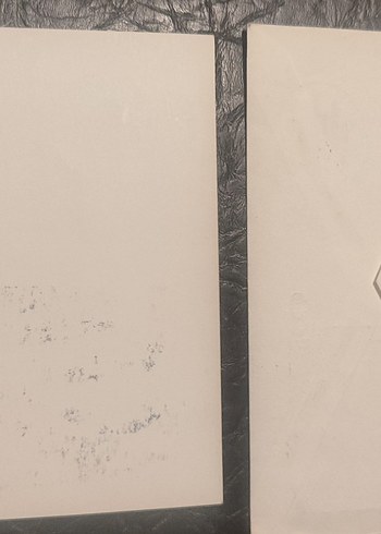 Berlin Temalı Antika Pul ve Kartpostal Seti - Görsel 3