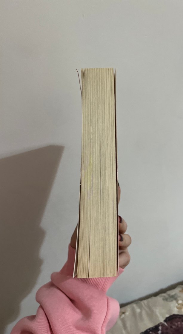 Türkçe "OFF" - Feyza Hepçilingirler Kitabı - Görsel 2