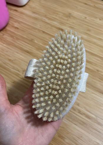 At Kılı Fırça - Görsel 2