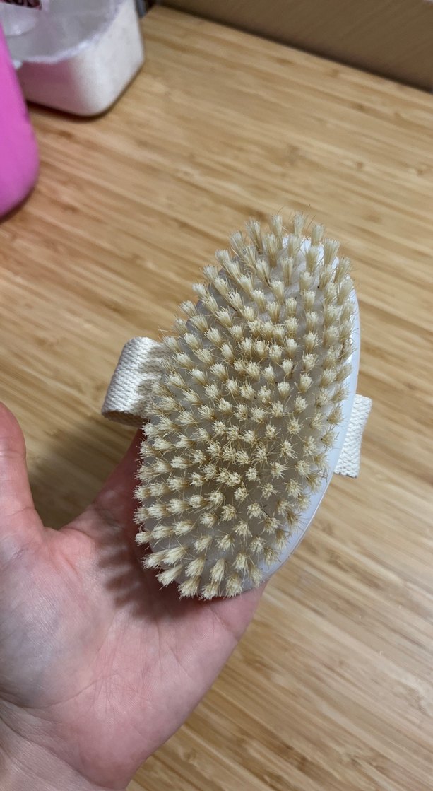 At Kılı Fırça - Görsel 2