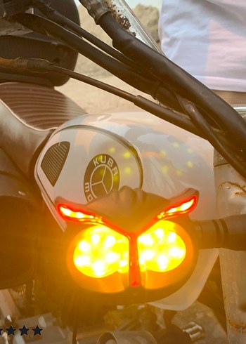 Amerikan park modüllü sinyal led - Görsel 11