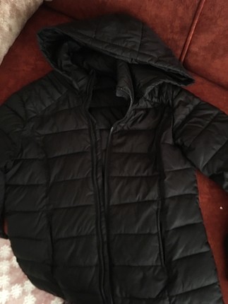 Koton mont 