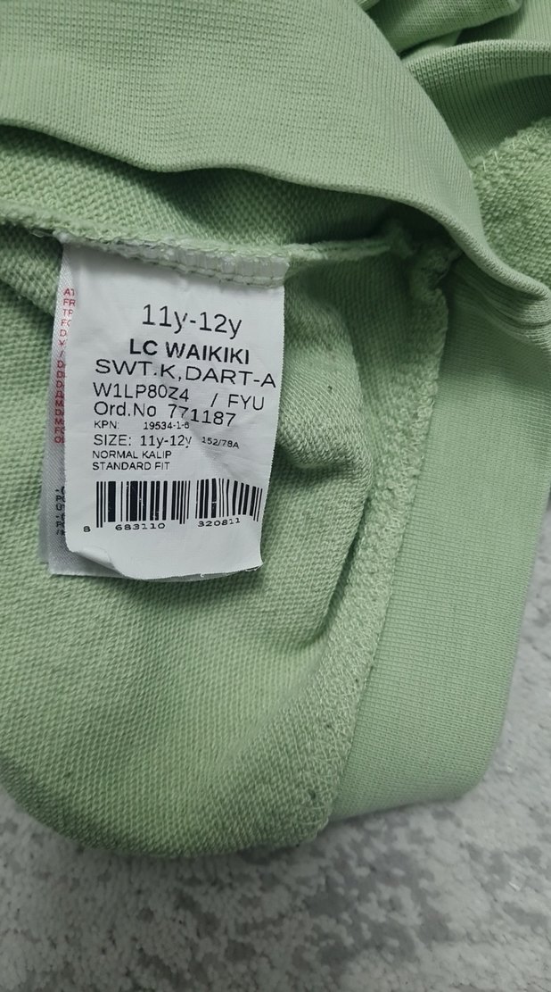 erkek Kapüşonlu Rahat Yeşil Sweatshirt - Görsel 5