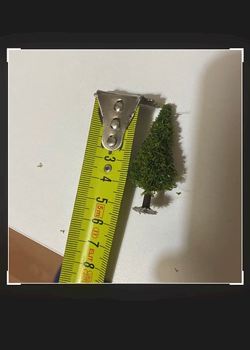 minyatür çam ağacı müze museum of us - Görsel 2