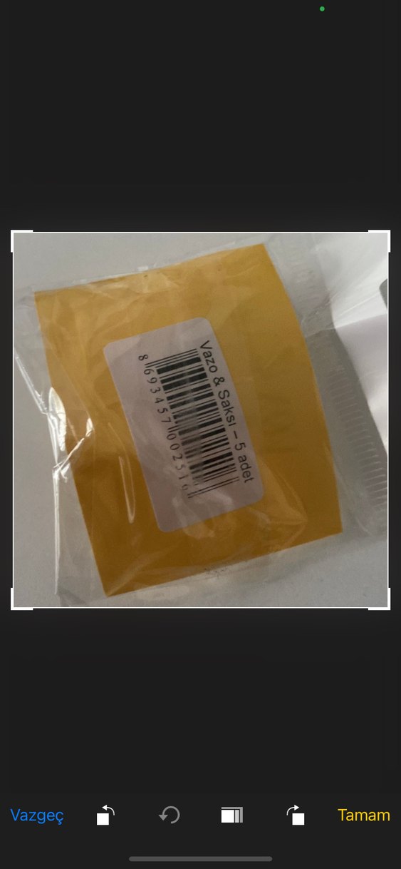 museum of us minyatür müze vazo saksı - Görsel 4