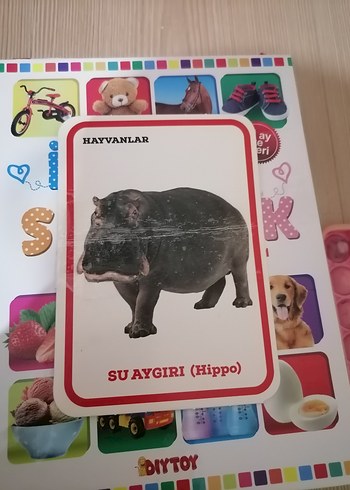 İlk 100 Hayvan ve Sözcük Zeka Kartları - Görsel 3