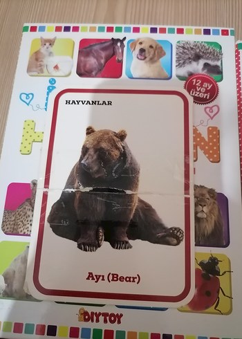 İlk 100 Hayvan ve Sözcük Zeka Kartları - Görsel 2