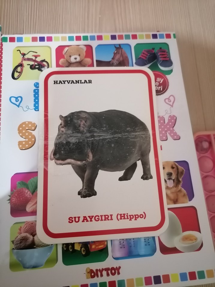 İlk 100 Hayvan ve Sözcük Zeka Kartları - Görsel 3