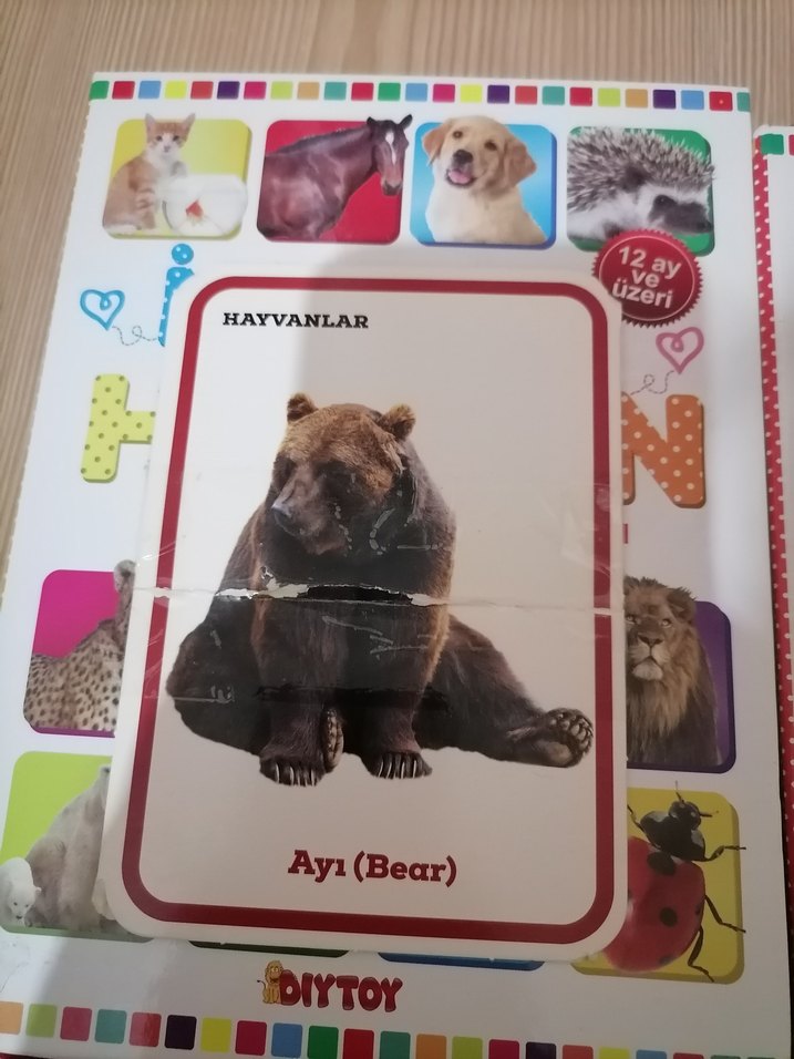 İlk 100 Hayvan ve Sözcük Zeka Kartları - Görsel 2