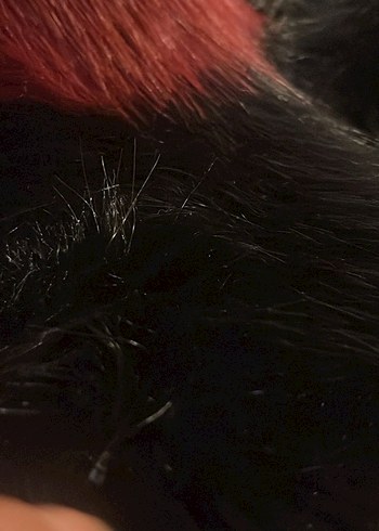 Bordo Siyah Çizgili Suni Kürk Şal - Görsel 4