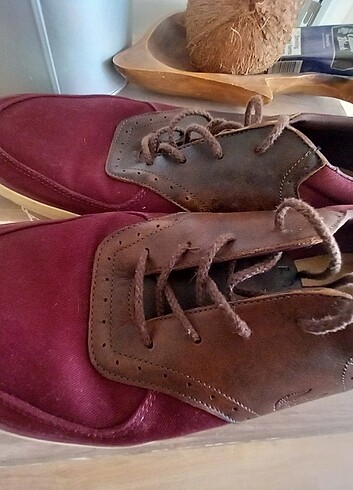 Lacoste erkek ayakkabi