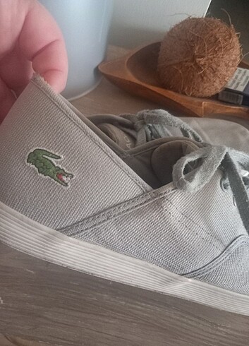 Lacoste erkek ayakkabi