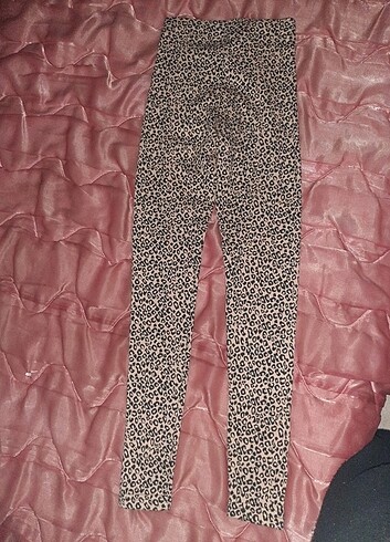 Leopar tayt - Görsel 5