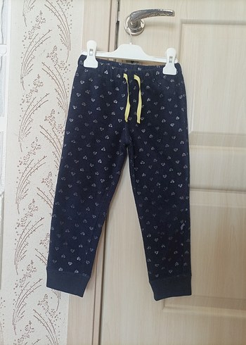 gap polar