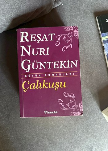 Reşat Nuri Güntekin - Çalıkuşu Romanı ve hobi