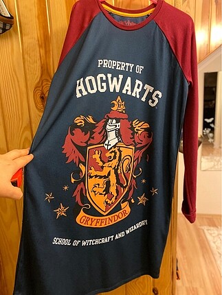#harry potter elbise