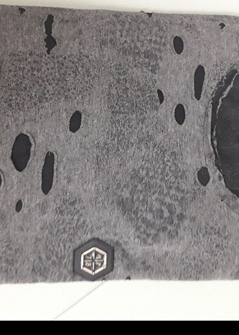 philips plein marka erkek tişört - Görsel 3