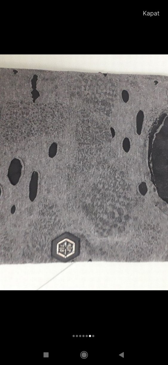 philips plein marka erkek tişört - Görsel 3