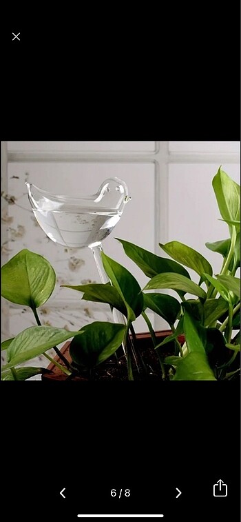 Sulama aparatı 2 adet - Görsel 6