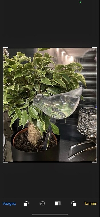 Sulama aparatı 2 adet - Görsel 8